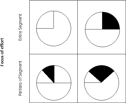        Focus of effort Portions of Segment Entire Segment 