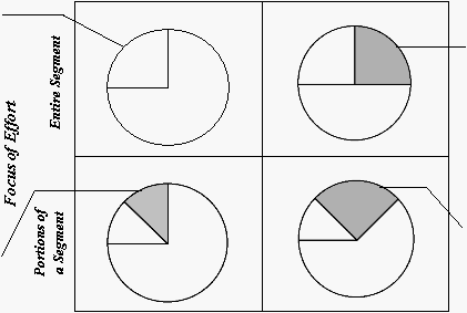  Focus of Effort Entire Segment Portions of  a Segment 