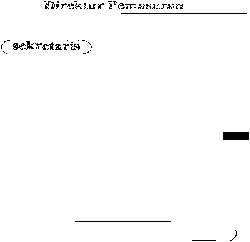      -/  ) 